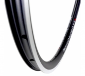 Pacenti Forza/DT Swiss 240 Ex-Demo Road Wheelset