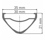 DT Swiss 350/FR 541 Wheelset